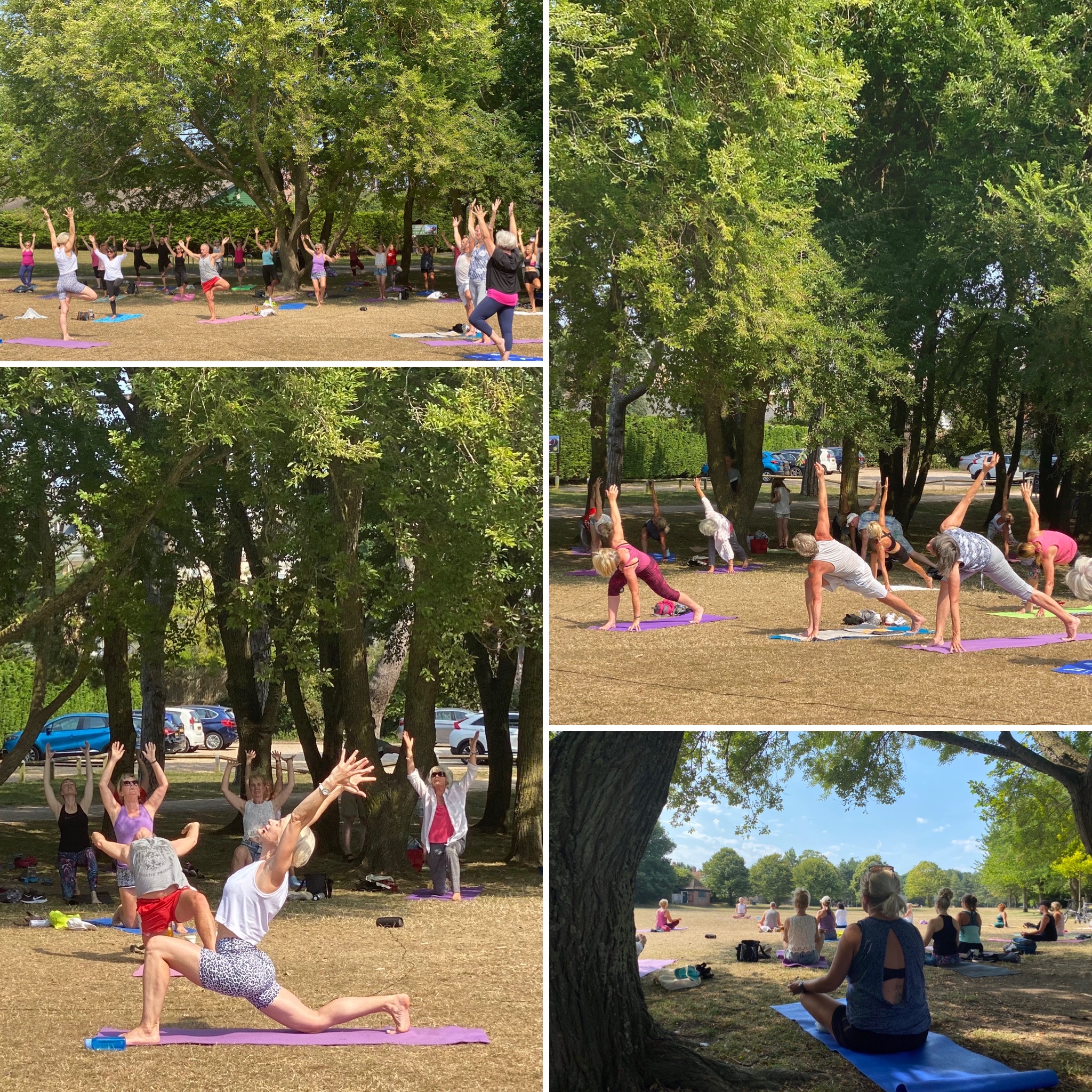 Yoga For Wellbeing Eastbourne Yoga In the Park Outdoors